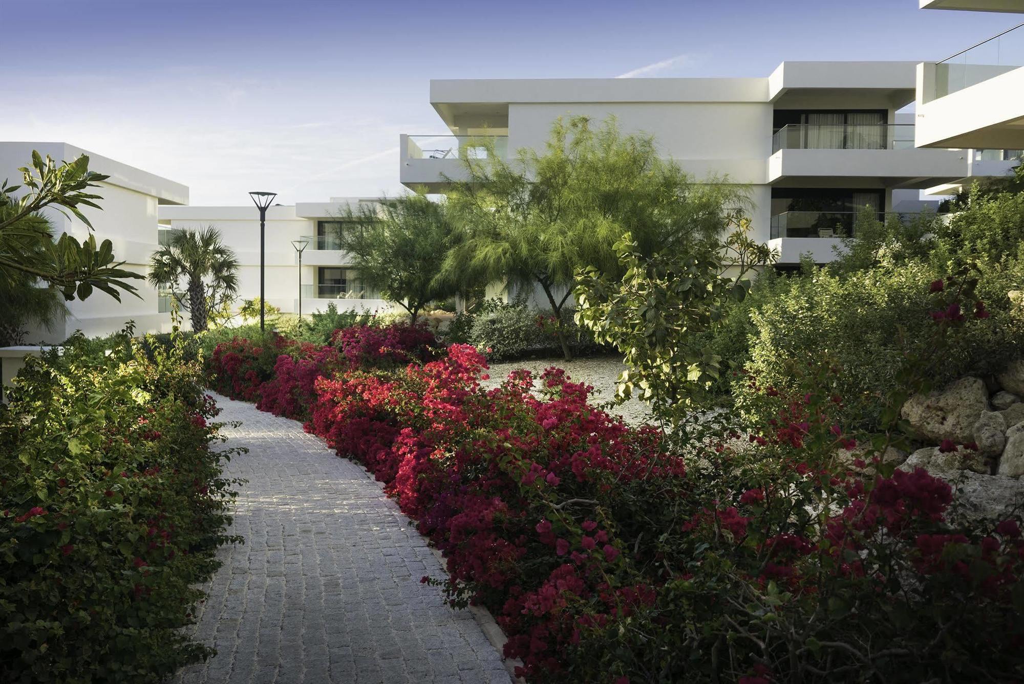 Papagayo Beach Resort (Adults Only) Willemstad Extérieur photo