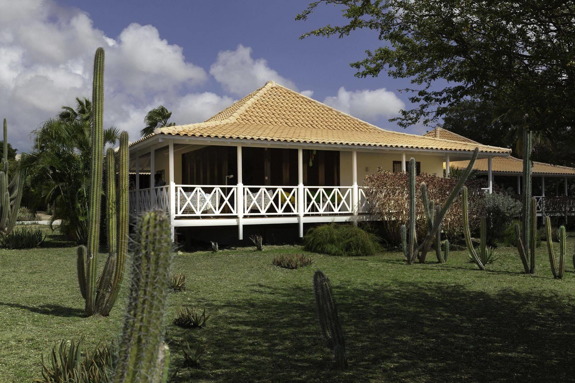 Papagayo Beach Resort (Adults Only) Willemstad Extérieur photo